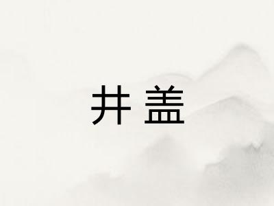 井盖