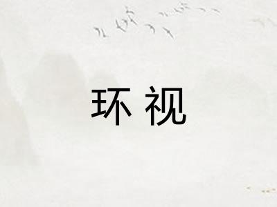 环视