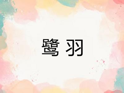 鹭羽