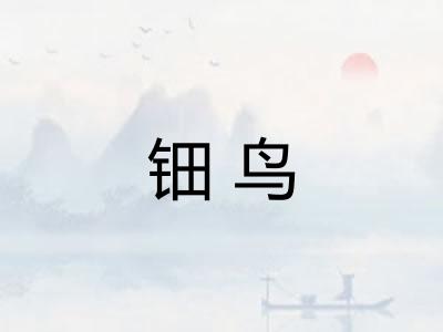 钿鸟