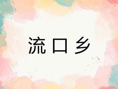 流口乡