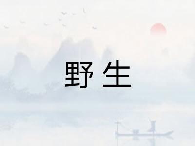 野生