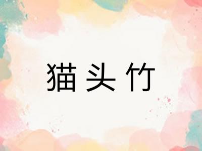 猫头竹