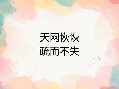 天网恢恢疏而不失