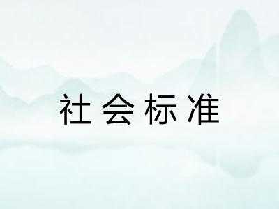 社会标准