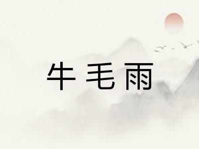 牛毛雨