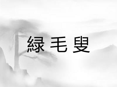 緑毛叟