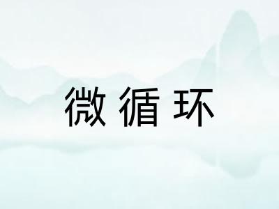 微循环