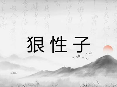 狠性子