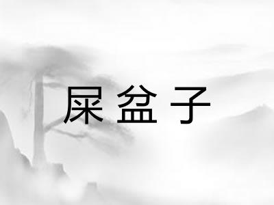 屎盆子