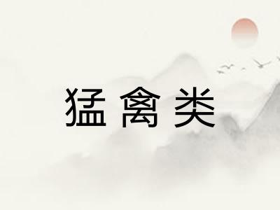 猛禽类