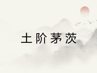 土阶茅茨