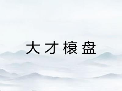大才榱盘