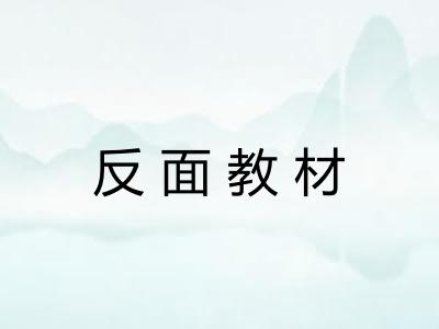 反面教材