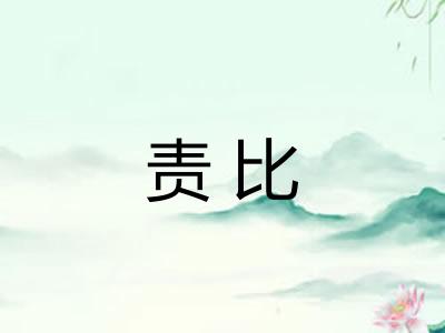 责比