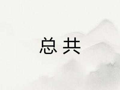 总共