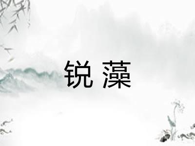 锐藻