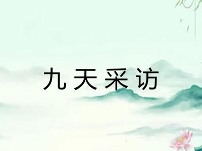 九天采访
