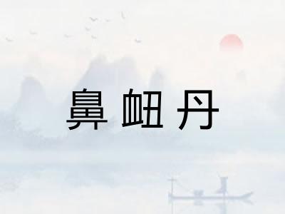 鼻衄丹