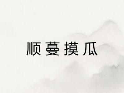 顺蔓摸瓜