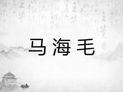 马海毛