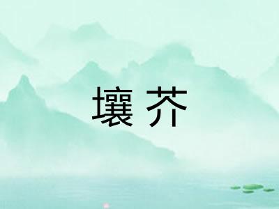 壤芥