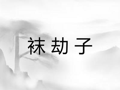 袜劫子
