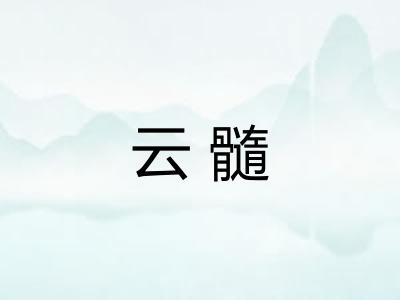 云髓