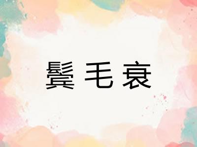 鬓毛衰