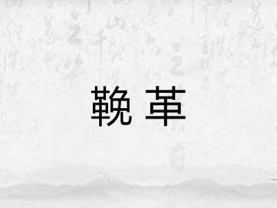 鞔革