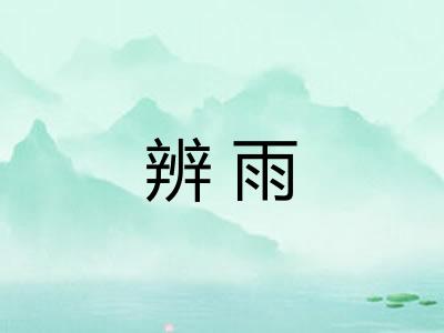 辨雨