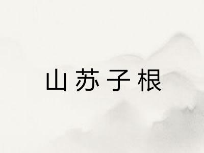 山苏子根