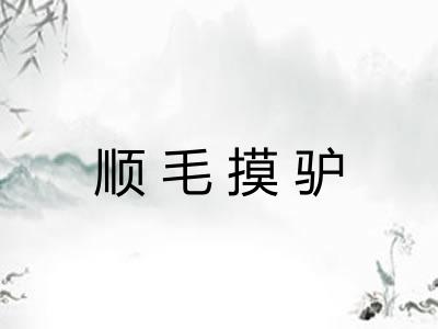 顺毛摸驴