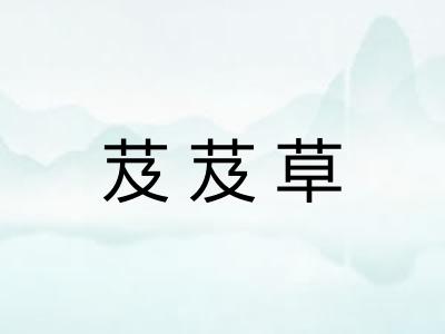 芨芨草