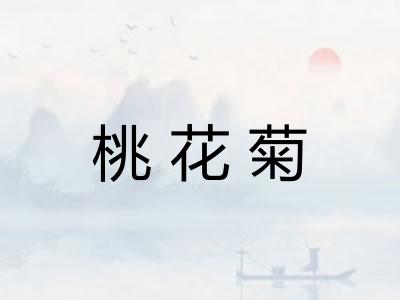 桃花菊