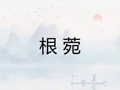 根菀