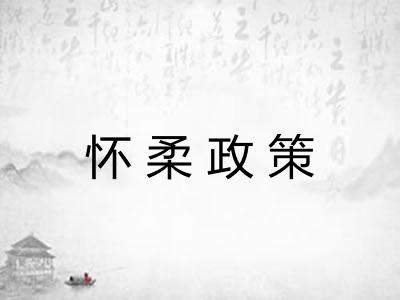 怀柔政策