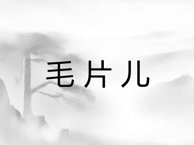 毛片儿