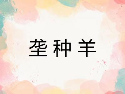 垄种羊