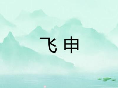 飞申