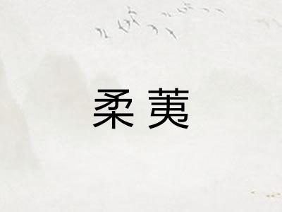 柔荑