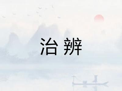 治辨