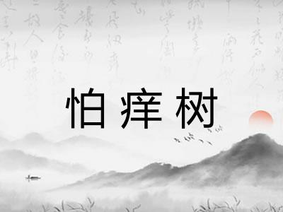 怕痒树