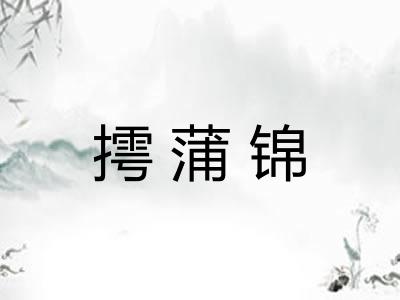 摴蒲锦
