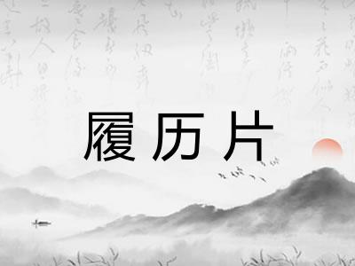 履历片