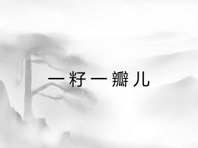 一籽一瓣儿
