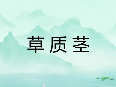 草质茎