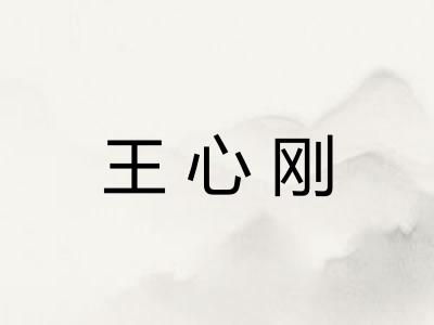 王心刚