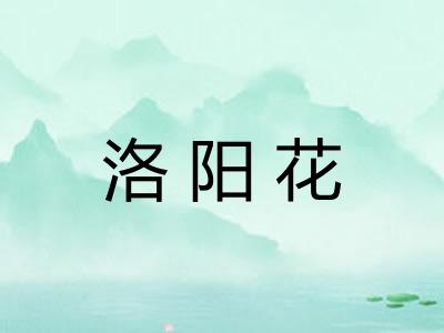 洛阳花