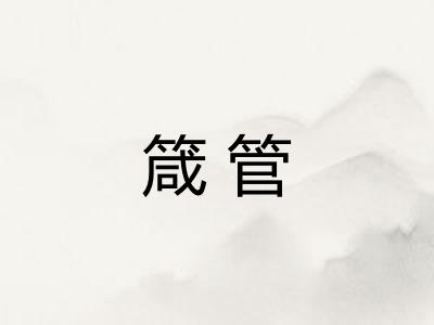箴管